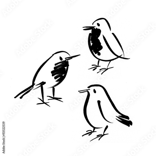 hand drawn ink birds.