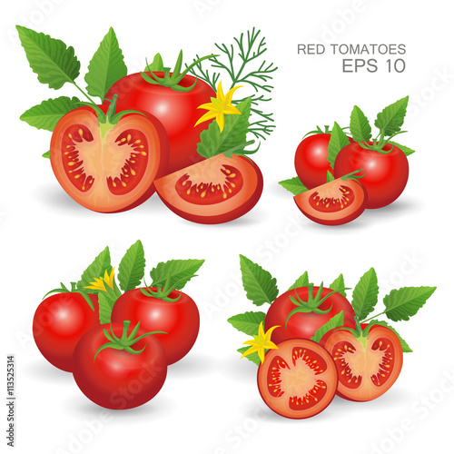 Red fresh tomatoes with leaves, blossom and dill