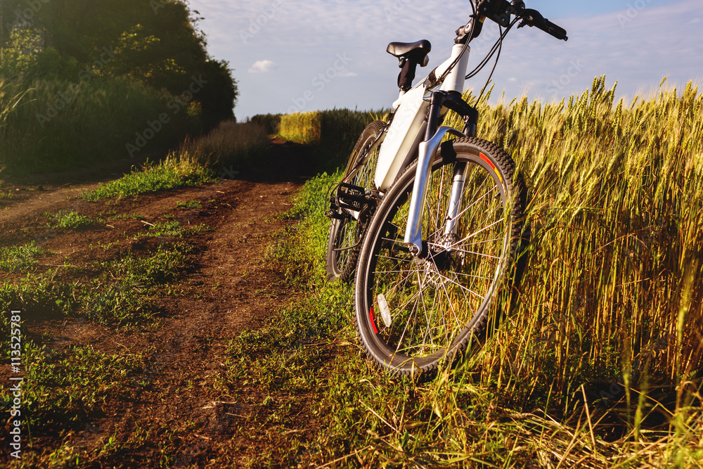 Fototapeta premium Mountain bicycle at sunny day on the dirt road
