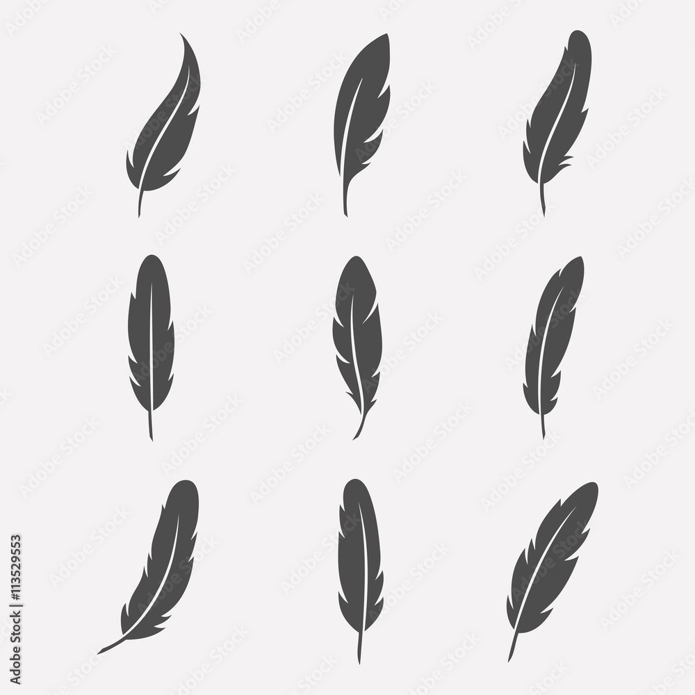 Feathers vector set