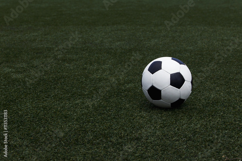 the soccer ball