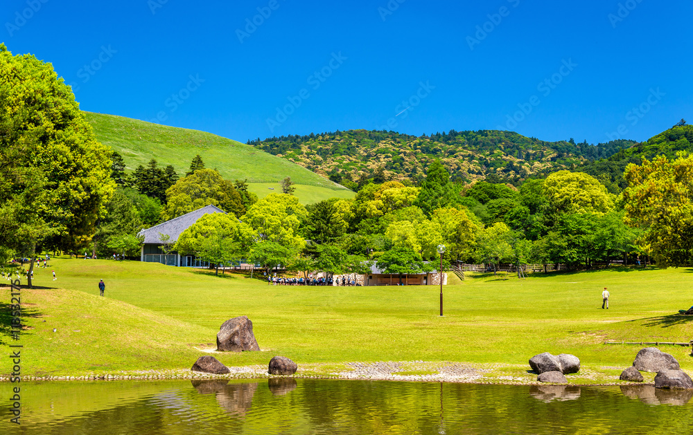 Fototapeta premium Grounds of Nara Park in Kansai Region - Japan