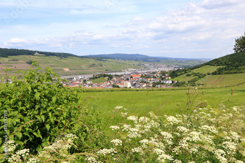Bingen am Rhein. Im Hintergrund rechts auf der anderen Rheinseite Rüdesheim. (Juni 2016) photo