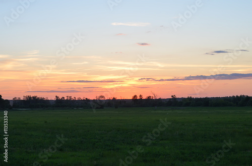 Landscape  sunny dawn in a field     