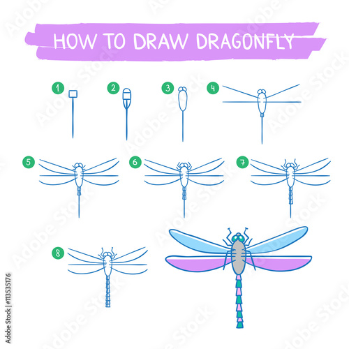 How to draw dragonfly hand drawn instructions