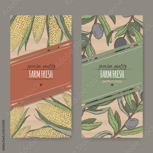 Two labels with corn and olives color sketch on cardboard.