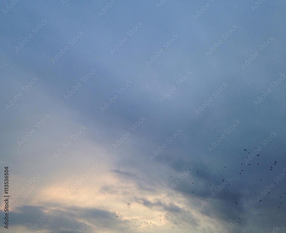 evening sky evening sky