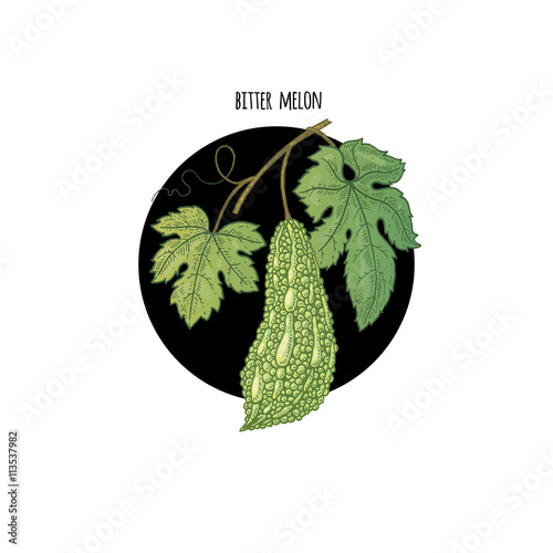 Image of plant Bitter melon