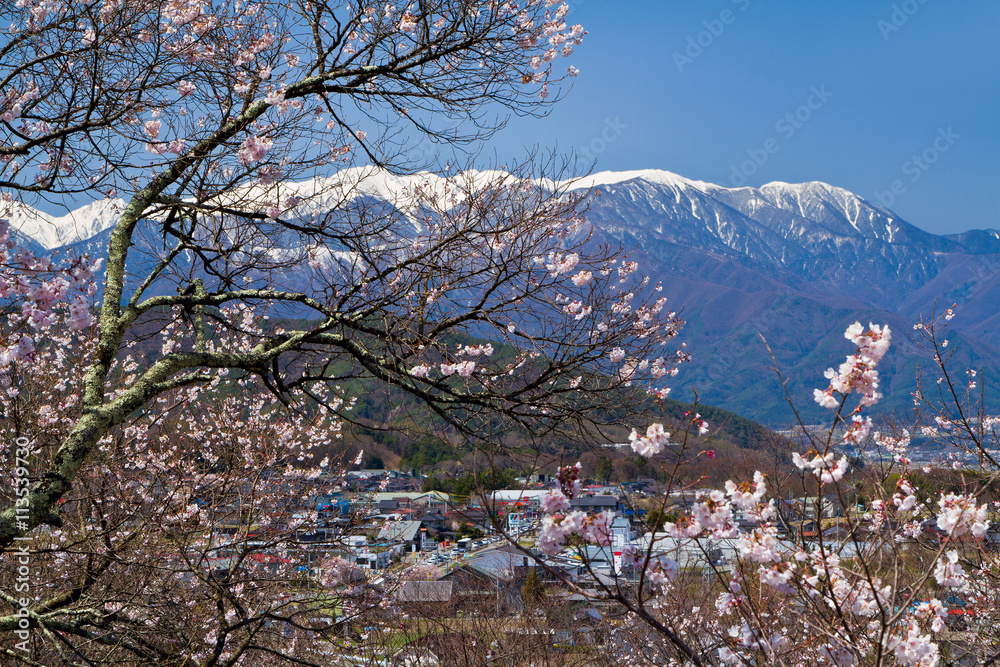 Blooming cherry on background of mountains and the city in Nagano Prefecture. Blooming cherry on background of mountains and the city in Nagano Prefecture.