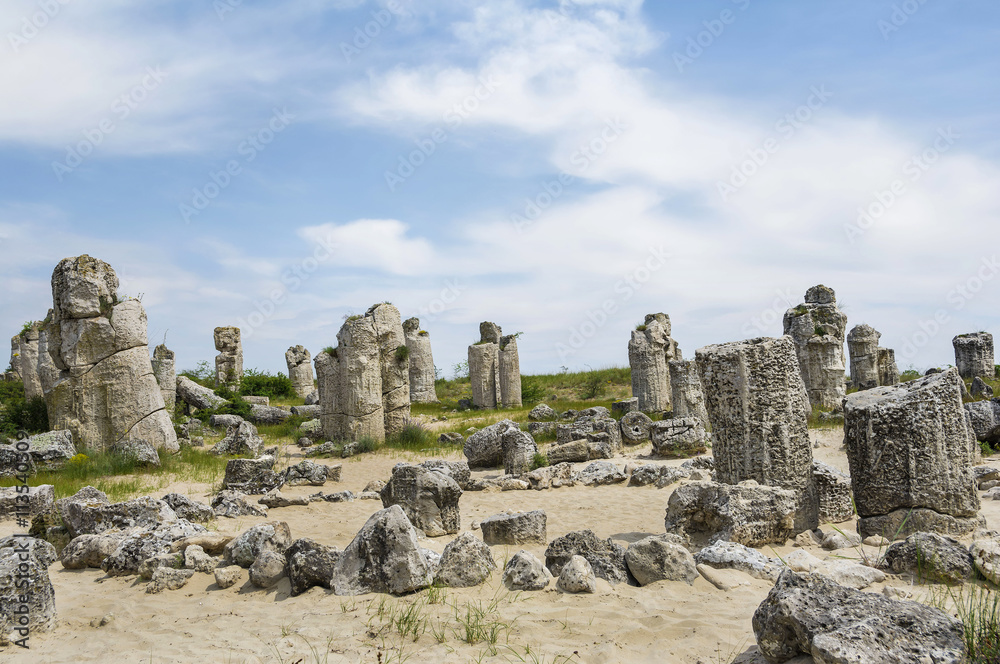 The natural phenomenon Pobiti Kamani, known as The Stone Forest and Dikilitash ,natural landmark in a sacred and powerful place since antiquity near Varna, Bulgaria. The natural phenomenon Pobiti Kamani, known as The Stone Forest and Dikilitash ,natural landmark in a sacred and powerful place since antiquity near Varna, Bulgaria.
