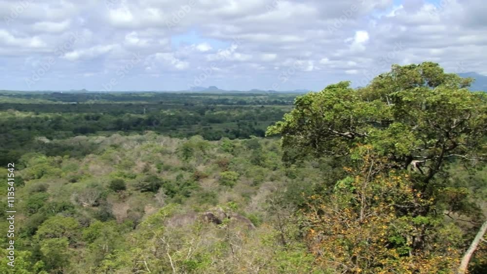 View to the jungle from the Sigiriya rock fortress in Sri Lanka. View to the jungle from the Sigiriya rock fortress in Sri Lanka.