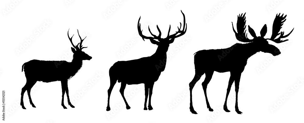 Fototapeta premium Deers and moose vector image