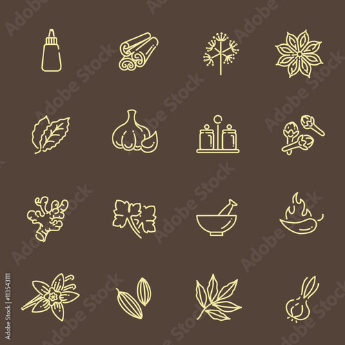 Web icon set - spices, condiments and herbs