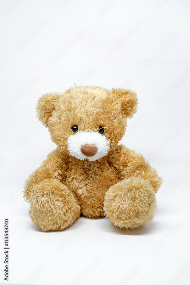 Toy teddy bear isolated on white background