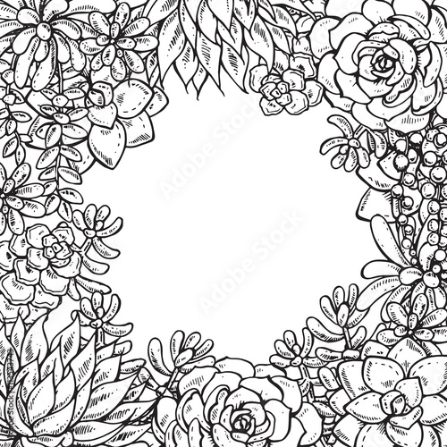 Hand drawn succulent plants.