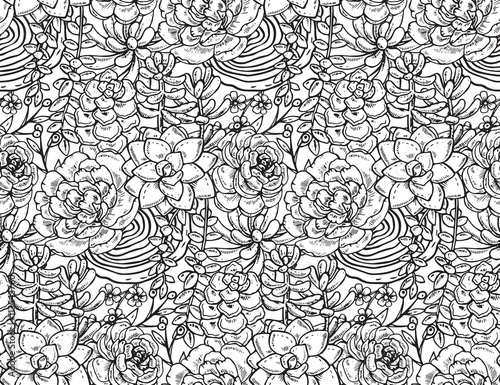 Vector seamless pattern with hand drawn succulent plants.