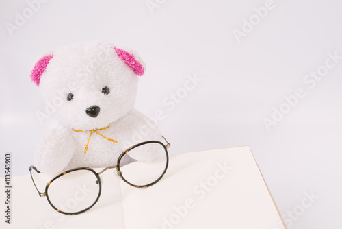 Dolly bear with glasses on notepad, vintage style
