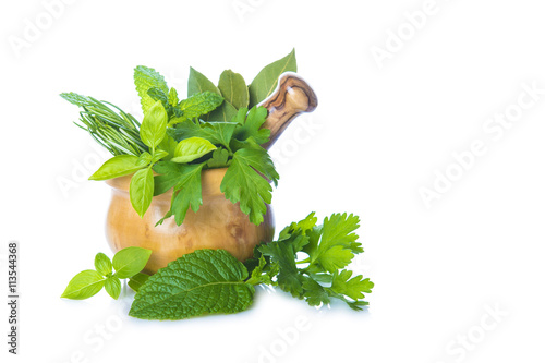 Mortero con hierbas frescas aisladas sobre un fondo blanco para uso en la cocina o en medicina natural photo
