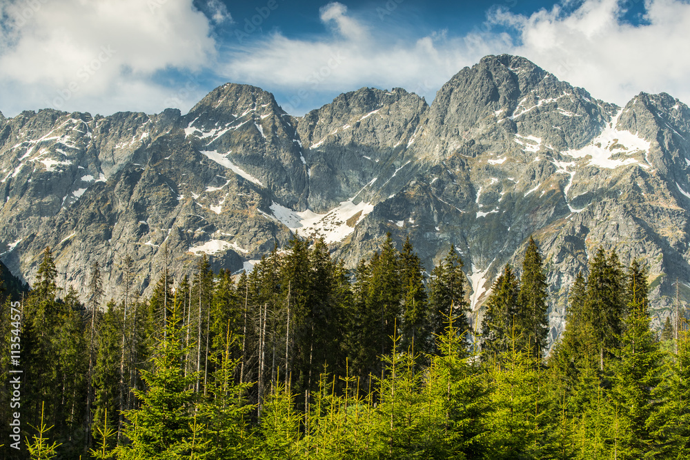 Old forest with high peaks in background in summer, Tatra mounta