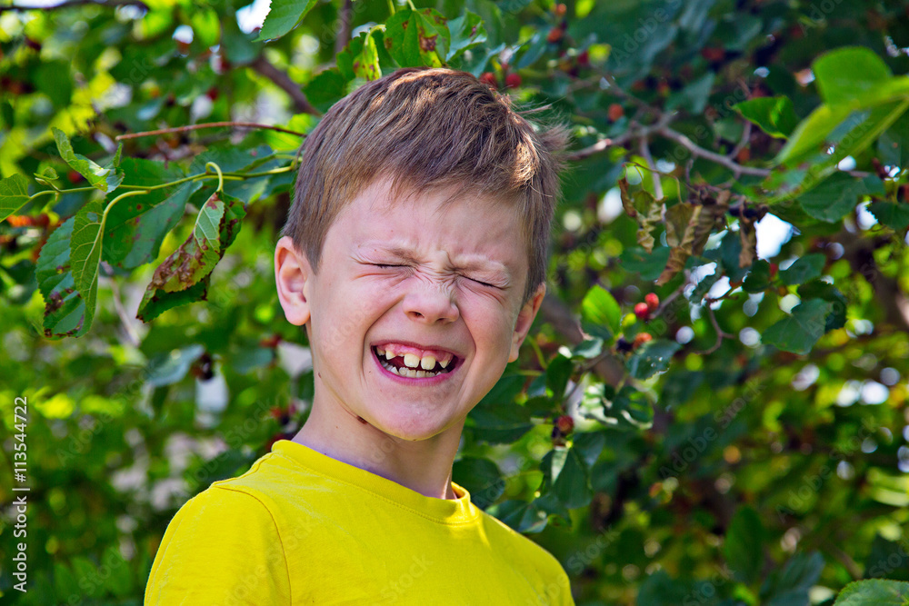 Boy collects the blue berries. Mulberry