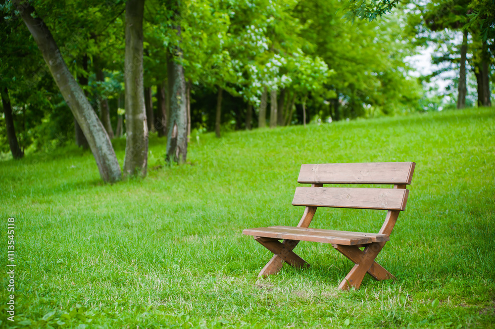 romantic benches near lake
