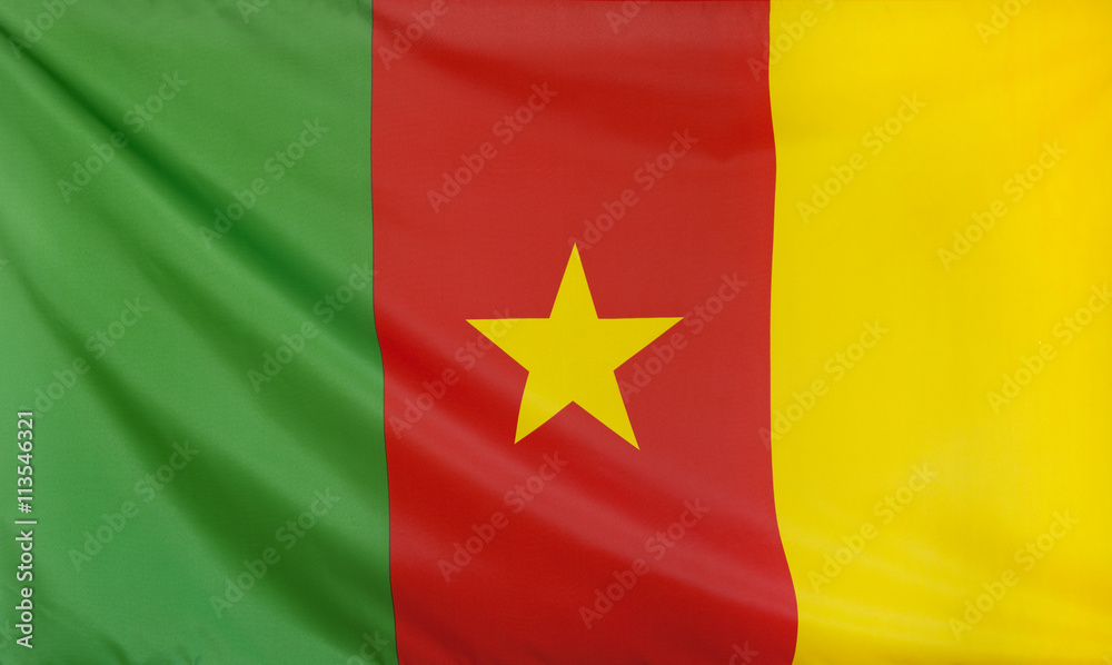 Obraz premium Cameroon Flag real fabric seamless close up