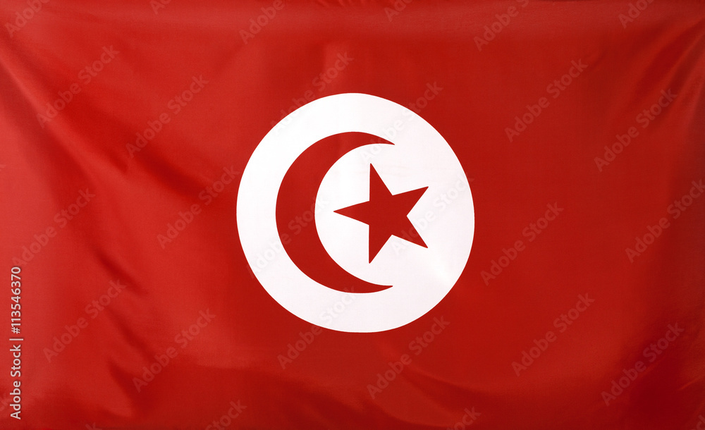  Tunisia Flag real fabric seamless close up