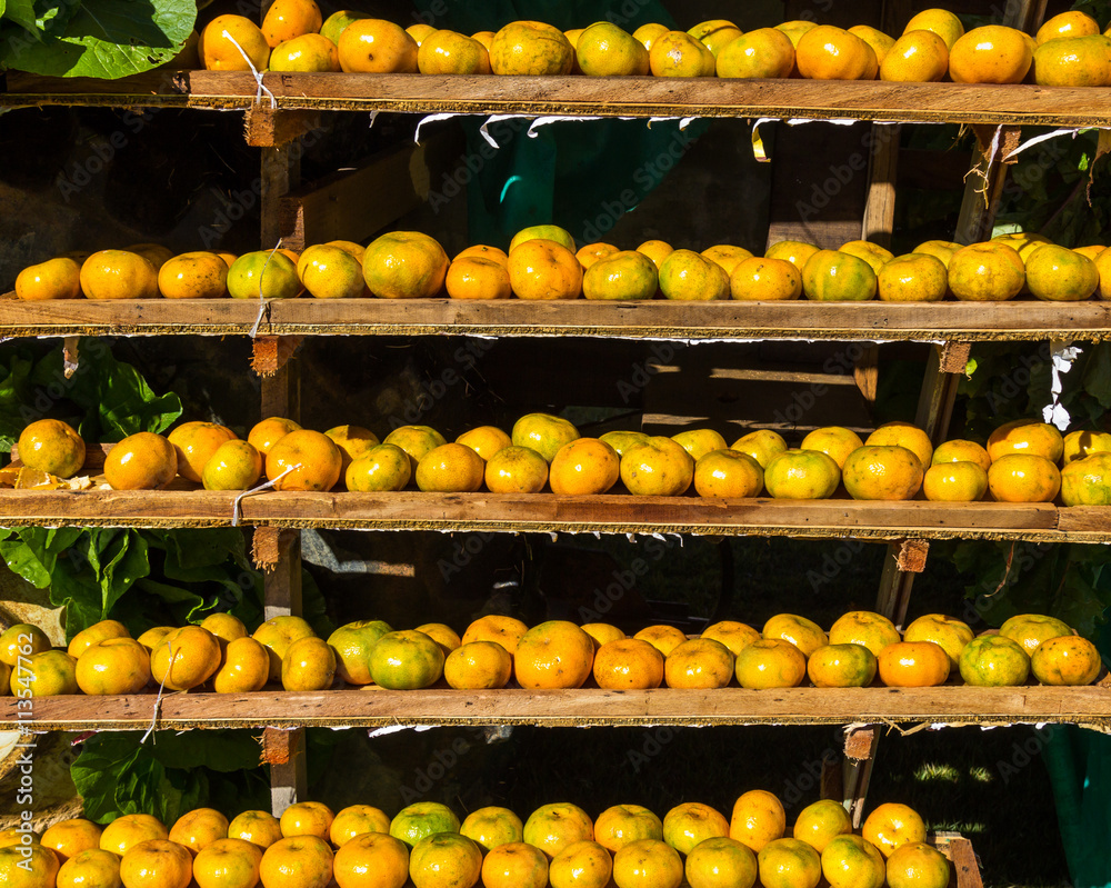 Tangerinas na feira. Tangerinas na feira.