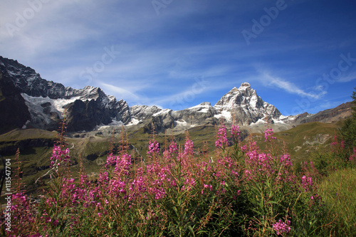 Valle d'Aosta,il Cervino. © gimsan