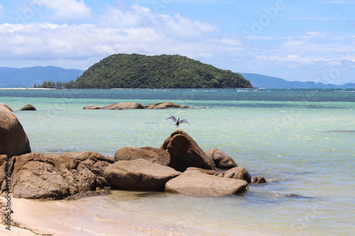 Exotic bird takes off from the stone on the coastline of the island