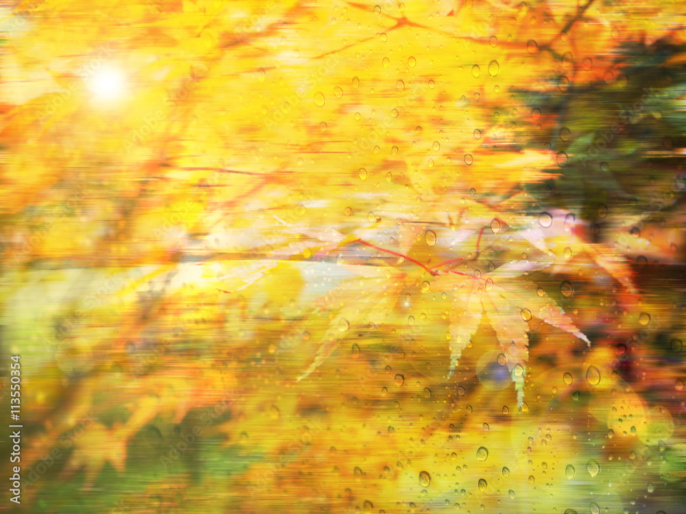Vivid color and motion blur abstract autumn leave background