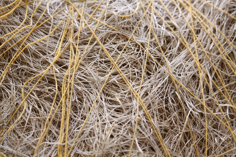 Detail on the ball of thread Detail on the ball of thread