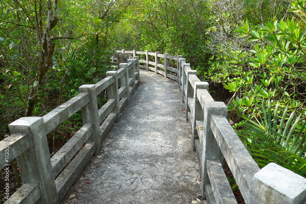 Natural mangrove walkway. Thailand travel. Natural mangrove walkway. Thailand travel.