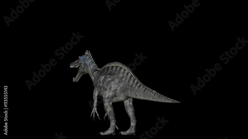 Animation of dinosaur Suchomimus gyrating 360 degree on black background photo
