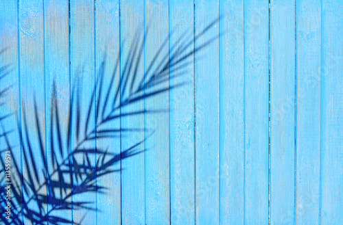 The shadow of the palm branch on a blue wooden surface