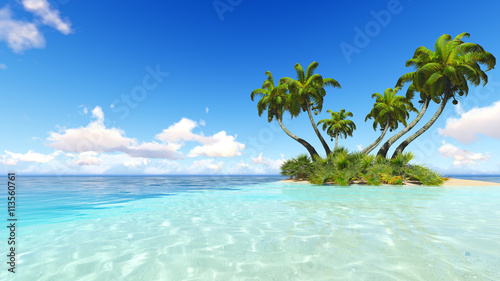 Fototapeta Naklejka Na Ścianę i Meble -  Corals Island Sea 3D rendering