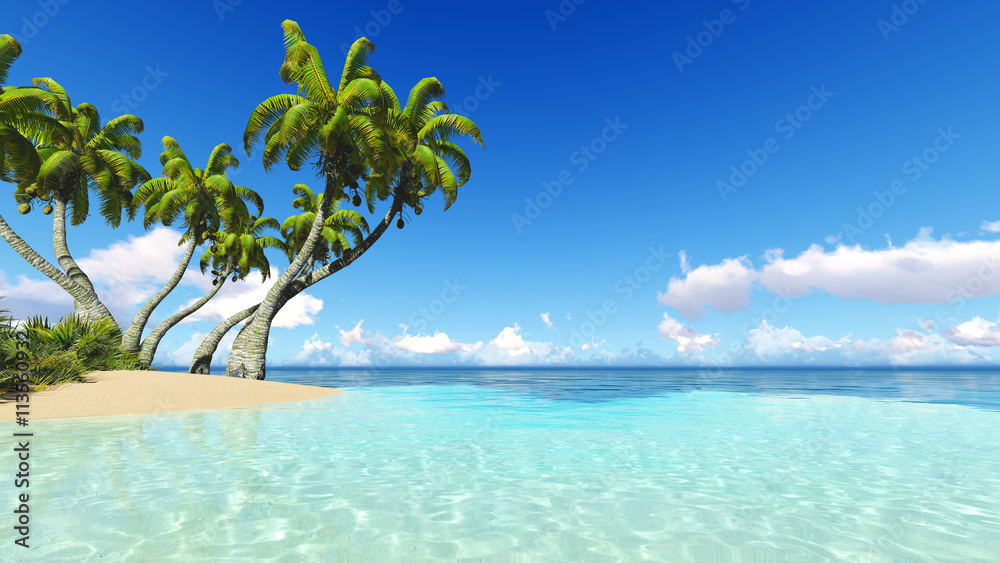 Corals Island Sea 3D rendering