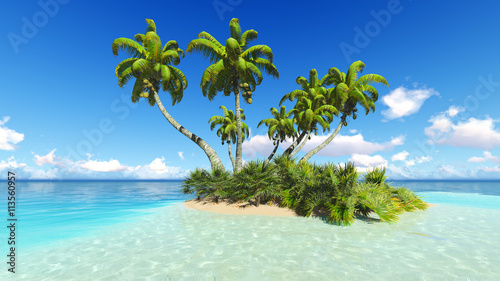 Fototapeta Naklejka Na Ścianę i Meble -  Corals Island Sea 3D rendering