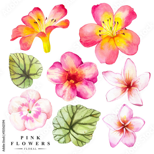 Botanical illustration with realistic tropical flowers and leaves. 