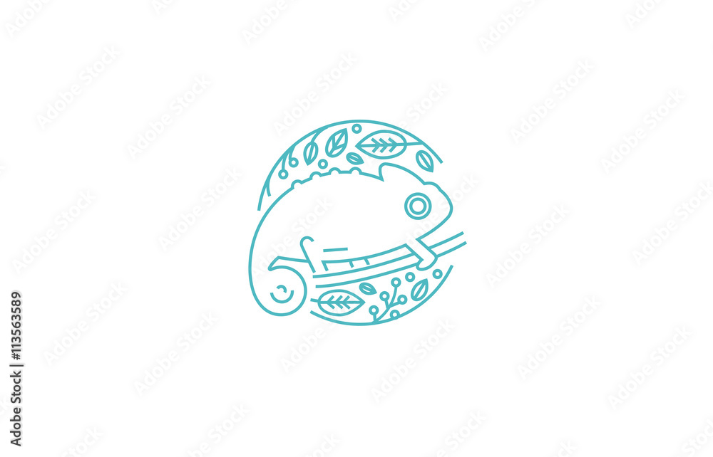 vector logo chameleon linear style vector logo chameleon linear style