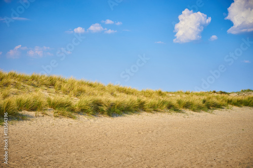 Sandy dunes with grass / Beach of Belgium near Nieuwpoort