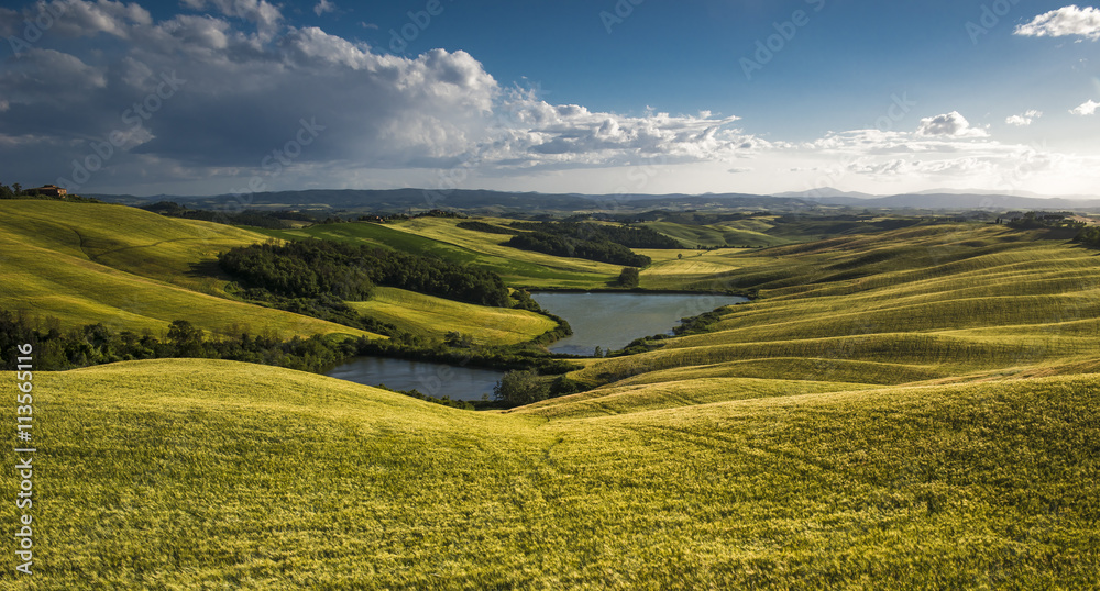 Obraz premium Tuscan countryside