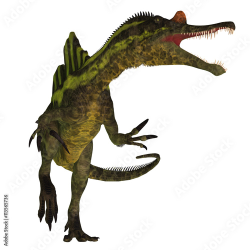Fototapeta Naklejka Na Ścianę i Meble -  Ichthyovenator Dinosaur on White - Ichthyovenator was a theropod spinosaur dinosaur that lived in Laos, Asia in the Cretaceous Period.