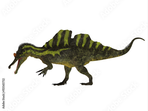 Ichthyovenator Side Profile - Ichthyovenator was a theropod spinosaur dinosaur that lived in Laos, Asia in the Cretaceous Period. © Catmando