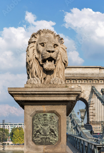 Lion of Chain Bridge in Budapest, Hungary