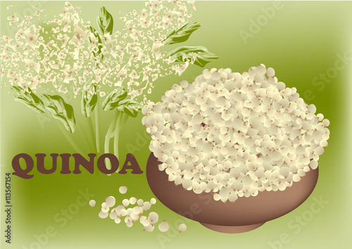 quinoa