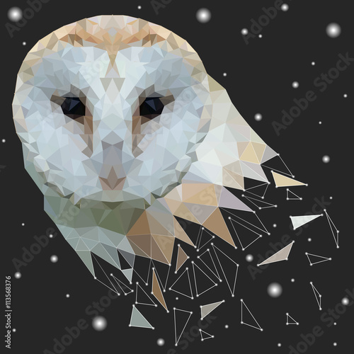 Stylish modern fashion trend vector owl in Low Poly style. Bird's head of triangles with lines and bright flashes on a black background. Space theme with polygonal design. Realistic colors and layout