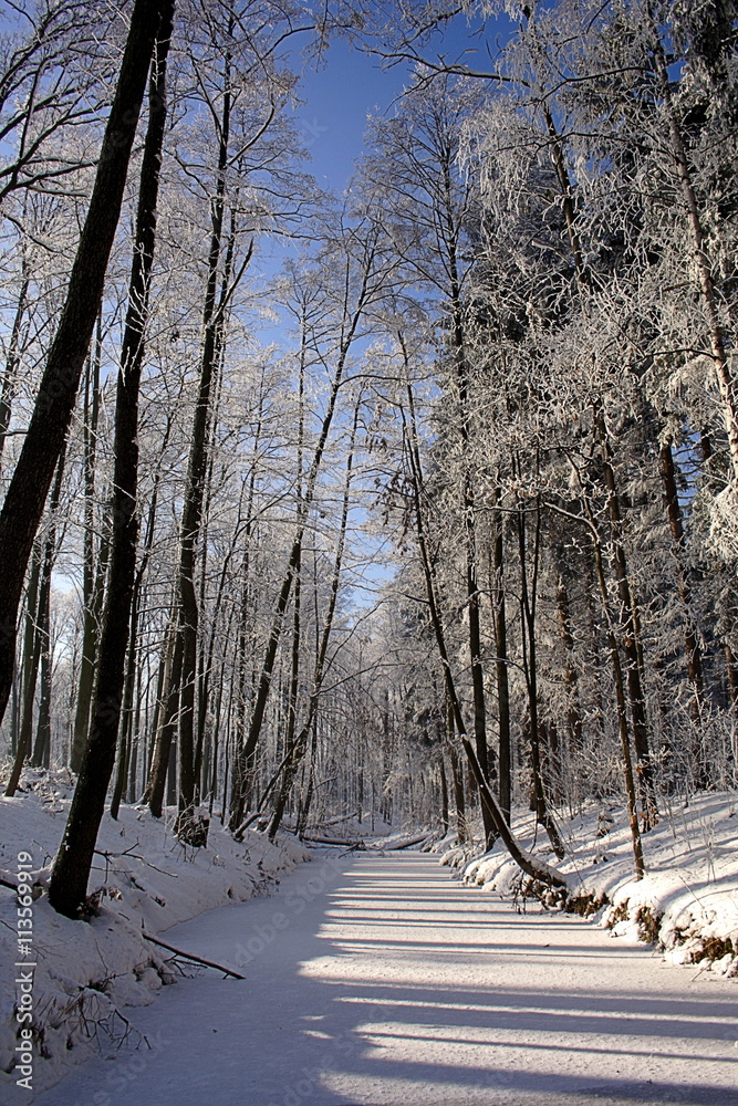 Fantastic winter landscape. Blue sky. Poland