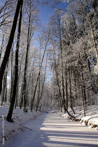 Fantastic winter landscape. Blue sky. Poland