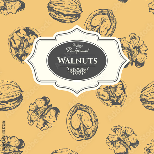 Hand-drawn  vector sketch of walnuts. Seamless nature background. 